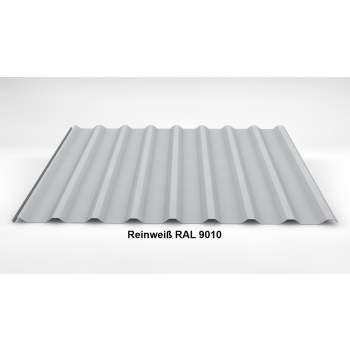 Trapezblech Dach 20/138 | Profilblech | Stahl | Beschichtung 25 µm | 0,5 mm | RAL 9010 Reinweiß